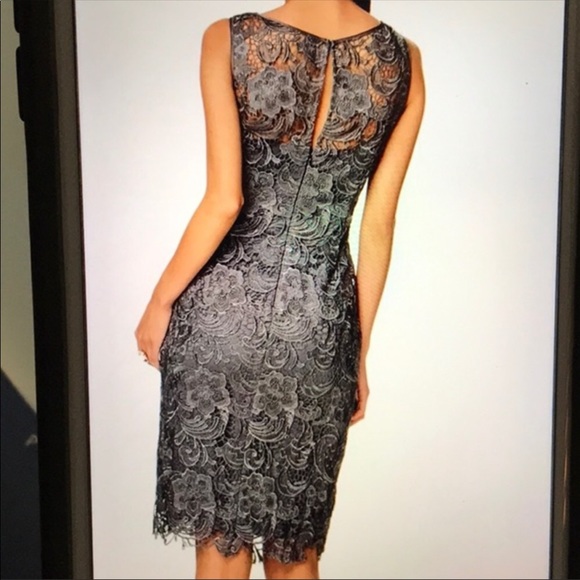 Adrianna-Papell cocktail sleeveless lace dress - Picture 3 of 9